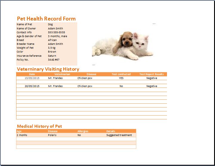 Pet Records Template from www.wordexceltemplates.com