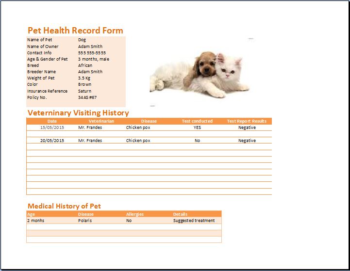 Free Excel 2007 Templates With Charts