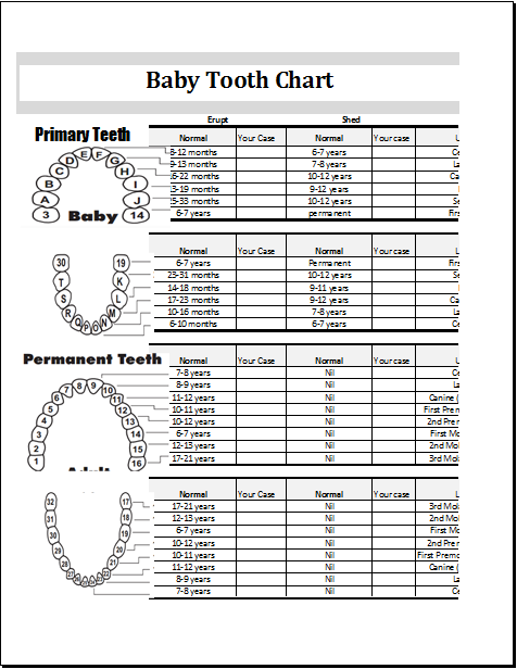 First Teeth Chart