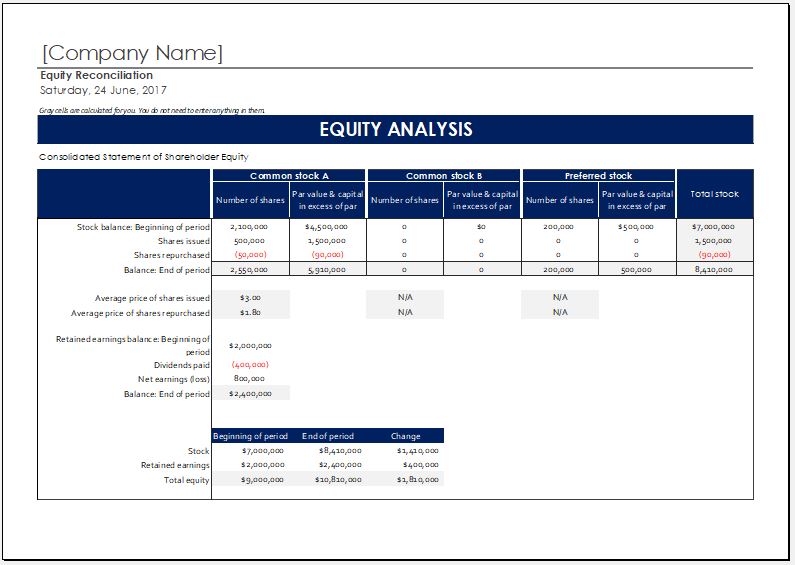 Shareholder Equity Report Worksheet Template