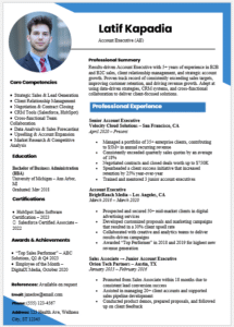 Account Executive Resume