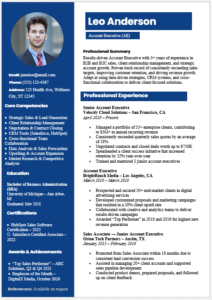Account Executive Resume