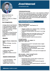 Account Executive Resume