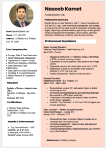 Account Executive Resume