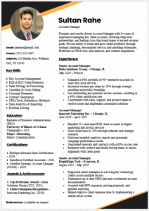 Account Manager Resume Template