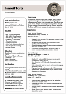 Account Manager Resume Template