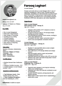 Account Manager Resume Template