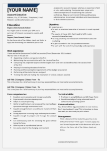 National Account Executive Resume