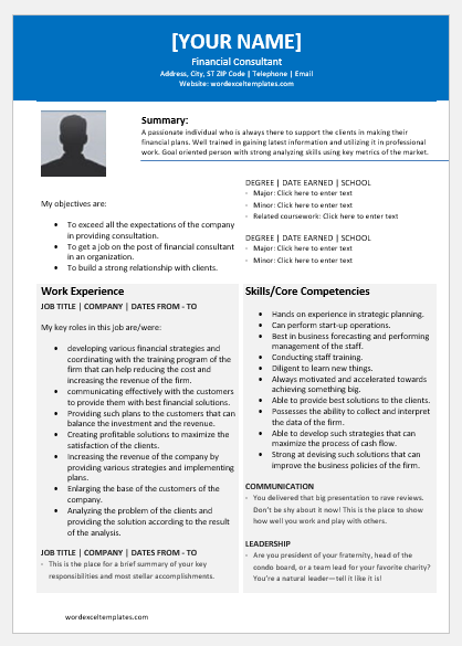 Financial Consultant Resume Templates For Word Word Excel Templates