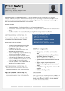 Collection Officer Resume