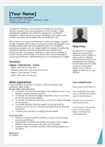 Accounting Consultant Resume