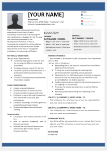 Chief Accountant Resume