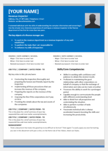 Revenue Inspector Resume