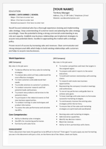 Territory Manager Resume