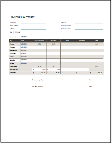 Employee paycheck summary report