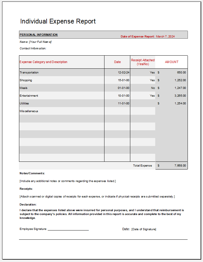 Individual Expense Report Template