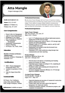 Project Manager Resume Template