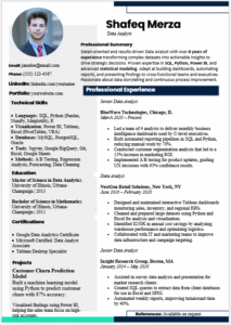 Data Analyst Resume Template
