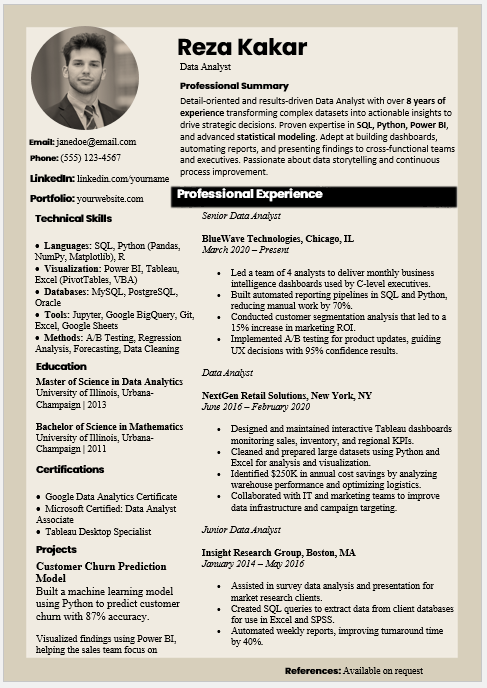 Data Analyst Resume Template