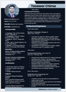 Data Analyst Resume Template